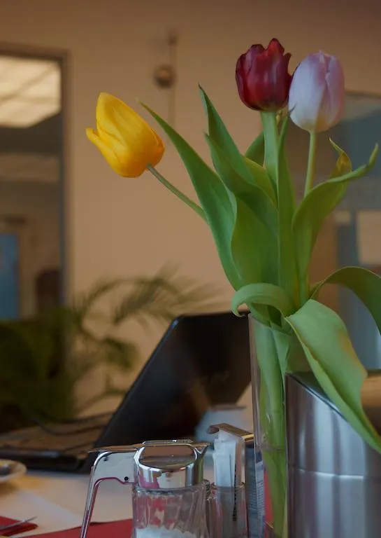 Goethe Hotel Messe By Trip Inn Frankfurt am Main